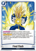 (FS02-16) Final Flash - Common