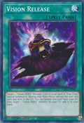 Vision Release (BLC1-EN085)  Common