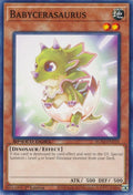 Babycerasaurus (SGX4-ENC05)  Common