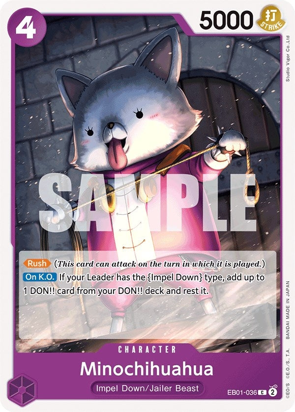 (EB01-036) Minochihuahua - Common