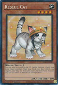 Rescue Cat (Alternate Art) (PCR) (RA02-EN001)