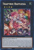Traptrix Rafflesia  (RA02-EN034)  Secret Rare