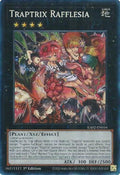 Traptrix Rafflesia (PCR) (RA02-EN034)