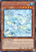 Mulcharmy Purulia (INFO-EN027)  Secret Rare