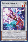 Zapper Shrimp (INFO-EN088)  Common