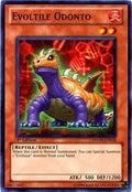 Evoltile Odonto (PHSW-EN018) Common