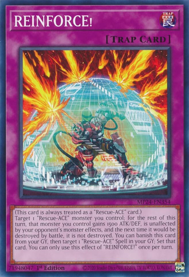 REINFORCE! (MP24-EN354)  Common