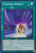 Synchro World (MP24-EN372)  Common