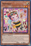 Newbee! (ROTA-EN029)  Common