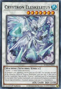 Crystron Eleskeletus (SUDA-EN041)  Common