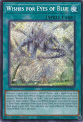 Wishes for Eyes of Blue  (SDWD-EN042)  Secret Rare