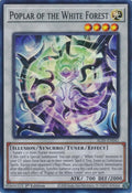 Poplar of the White Forest (ALIN-EN041)  Super Rare