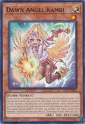 Dawn Angel Kambi (ALIN-EN081)  Common