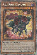 Red Rose Dragon (MP25-EN037)  Starlight Rare