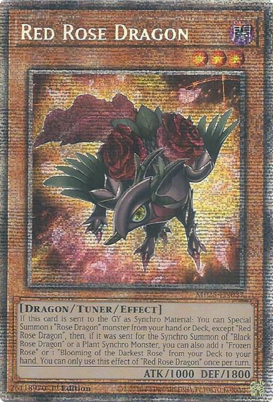 Red Rose Dragon (MP25-EN037)  Starlight Rare