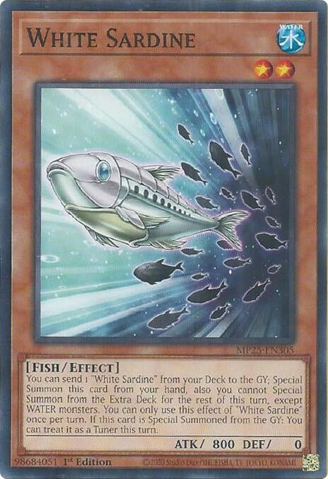 White Sardine (MP25-EN305)  Common