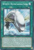 White Reincarnation (MP25-EN317)  Common