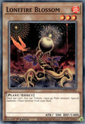 Lonefire Blossom (L5DD-ENA01)  Common