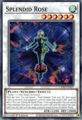 Splendid Rose (L5DD-ENA27)  Common