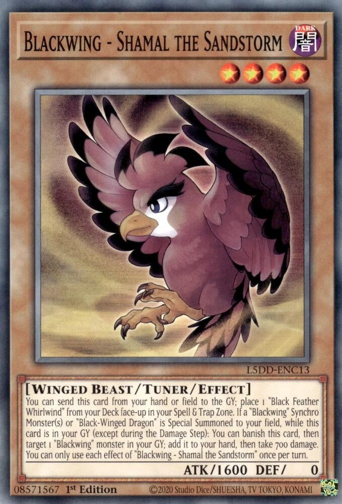 Blackwing - Shamal the Sandstorm (L5DD-ENC13)  Common