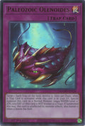 Paleozoic Olenoides (MAMO-EN116) Ultra Rare