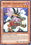 Blackwing - Steam the Cloak (DRLG-EN028)  Super Rare