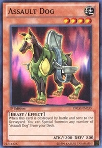 Assault Dog (DRLG-EN033)  Super Rare