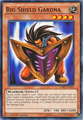 Big Shield Gardna (LDK2-ENY16)  Common